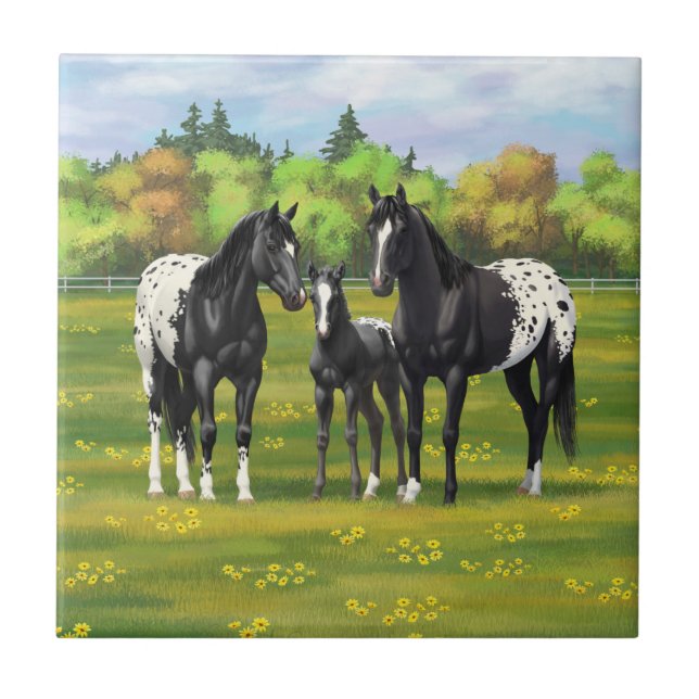Black Appaloosa Horses In Summer Pasture Tile (Front)