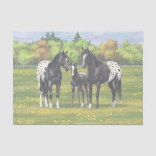 Black Appaloosa Horses In Summer Pasture Tissue Paper