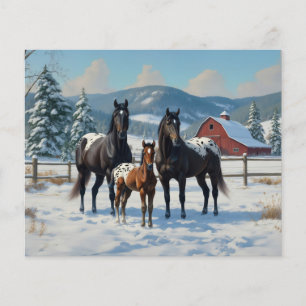 Black Appaloosa Horses on a Farm in Winter