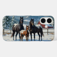 Black Appaloosa Horses on a Farm in Winter