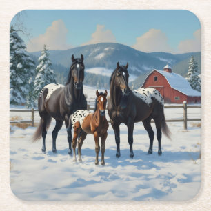 Black Appaloosa Horses on a Farm in Winter Square Paper Coaster