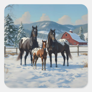 Black Appaloosa Horses on a Farm in Winter Square Sticker