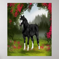Black Arabian Horse in Spring Meadow