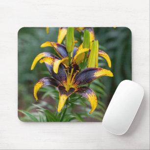 Black Asiatic Lily, Dark Floral Photography Mouse Pad