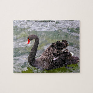 Black Australian Swans Jigsaw Puzzle