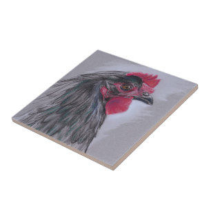 Black Australorp Hen Tile