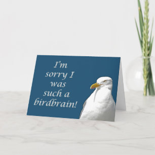 Black-Backed Gull I'm Sorry Card