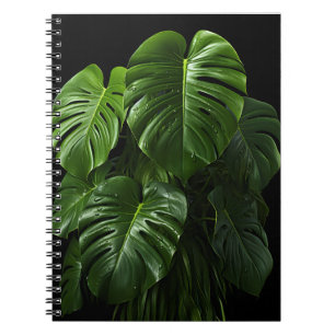 Black Background Monstera Deliciosa Leaves Notebook