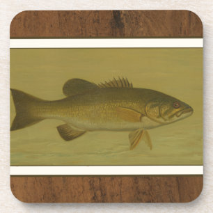 Black Bass on a Green Background Coaster
