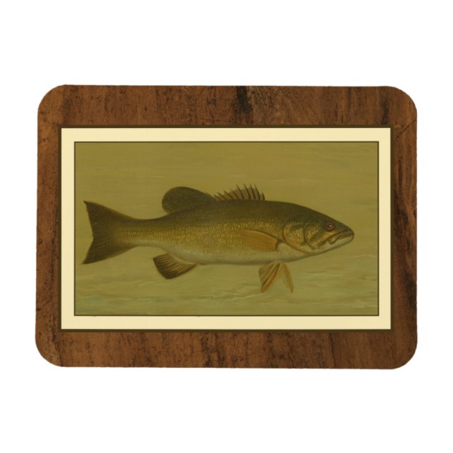 Black Bass on a Green Background Magnet (Horizontal)