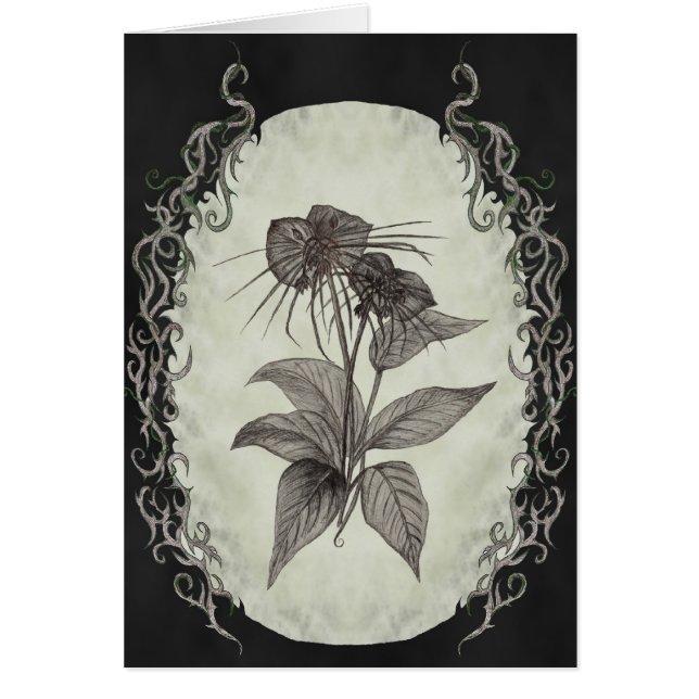 Black Bat Plant Card (Front)