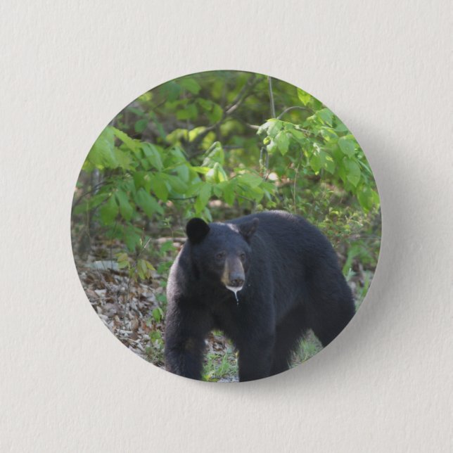 black bear 6 cm round badge (Front)