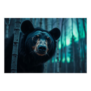 Black Bear and Aurora Art Poster