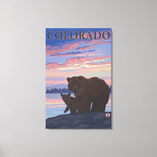 Black Bear and CubColorado Canvas Print