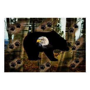 Black Bear Bald Eagle Bear Paw Prints Wilderness