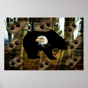 Black Bear Bald Eagle Bear Paw Prints Wilderness
