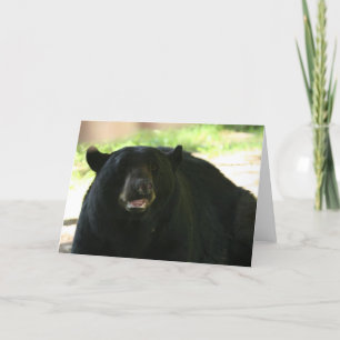 black bear card