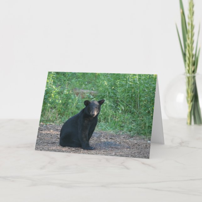 black bear card (Front)