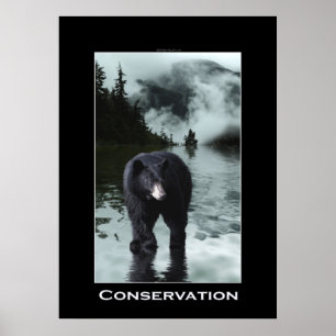 Black Bear CONSERVATION Wildlife Poster