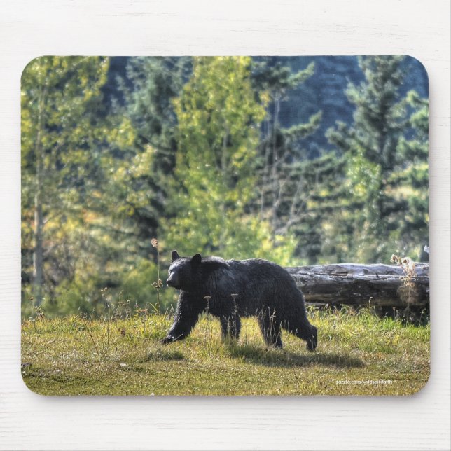 Black Bear Crossing A Ranch Paddock Mouse Pad (Front)