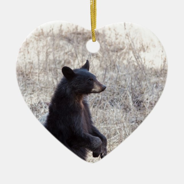 Black Bear Cub Ceramic Tree Decoration (Front)