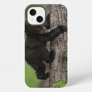 Black Bear Cub Climbing Tree iPhone 13 Case