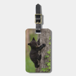 Black Bear Cub Climbing Tree Luggage Tag