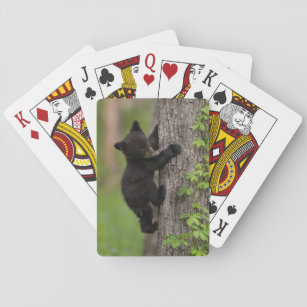 Black Bear Cub Climbing Tree Playing Cards