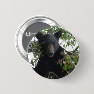 Black Bear Cub in a Tree 6 Cm Round Badge