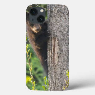 Black Bear Cub in Springtime iPhone 13 Case