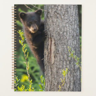 Black Bear Cub in Springtime Planner