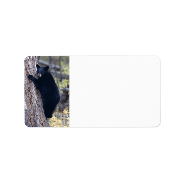 black bear cub label (Front)