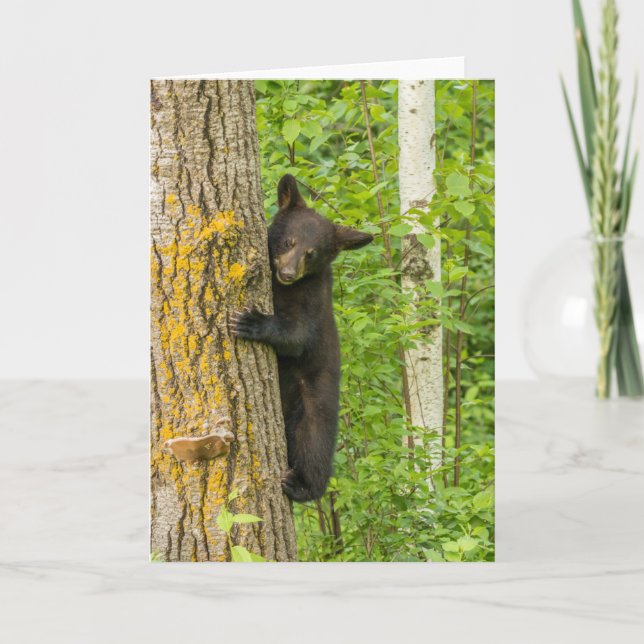 Black Bear Cub | Minnesota Card (Front)