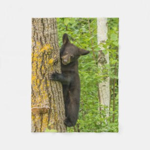 Black Bear Cub   Minnesota Fleece Blanket