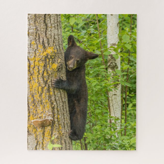 Black Bear Cub | Minnesota Jigsaw Puzzle (Vertical)