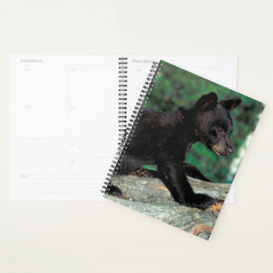 Black Bear Cub Planner