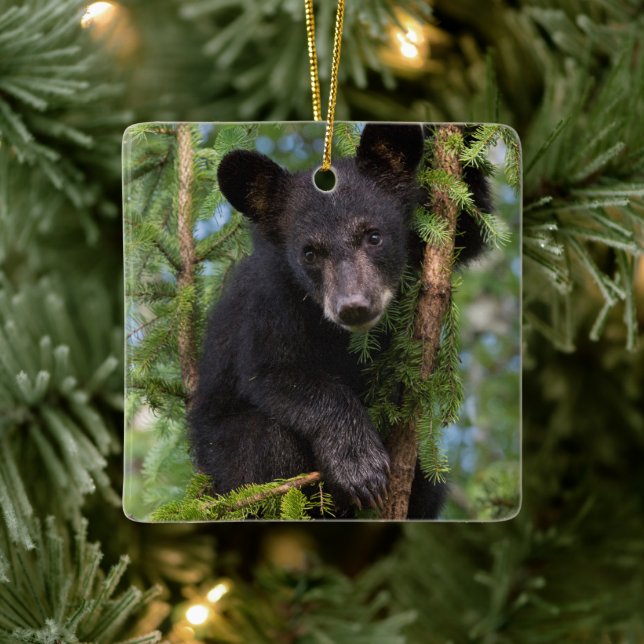 Black Bear Cub Playing in Trees Ceramic Ornament (Tree)