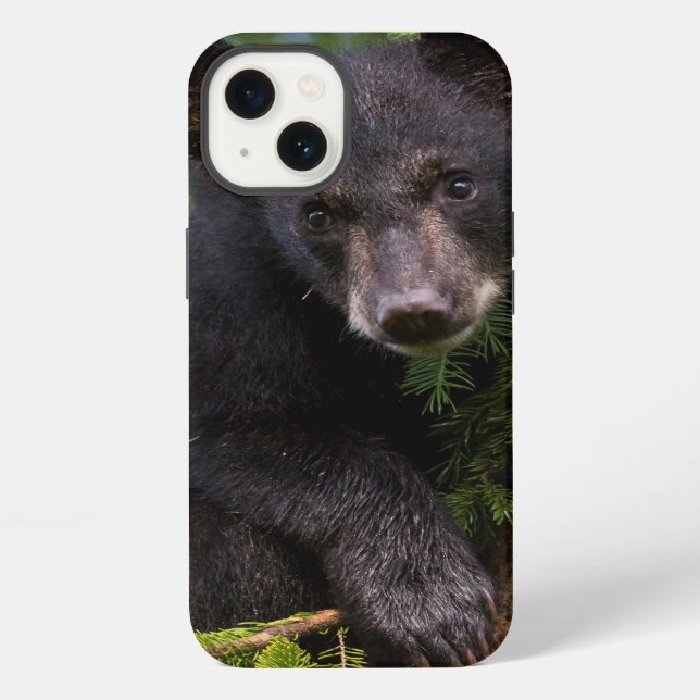 Black Bear Cub Playing in Trees iPhone Case (Back)