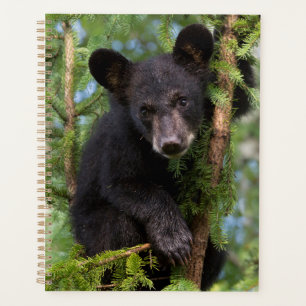 Black Bear Cub Playing in Trees Planner