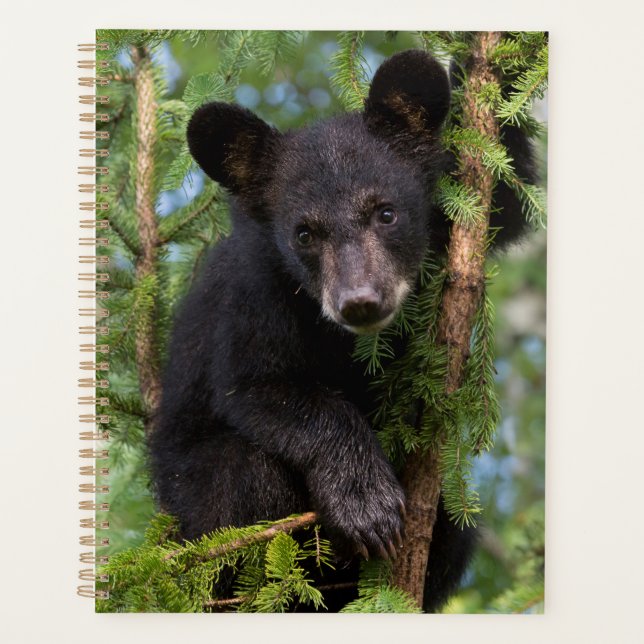 Black Bear Cub Playing in Trees Planner (Front)