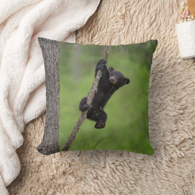 Black Bear Cub playing on Tree Limb Cushion (Blanket)