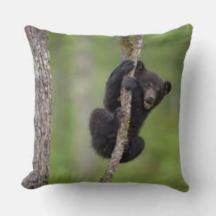 Black bear cub playing, Tennessee Cushion