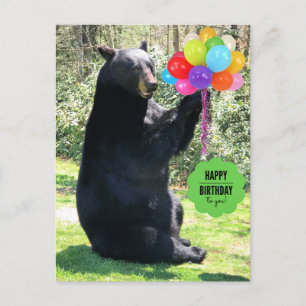 Black Bear - "Cubby - Happy Birthday!" Postcard