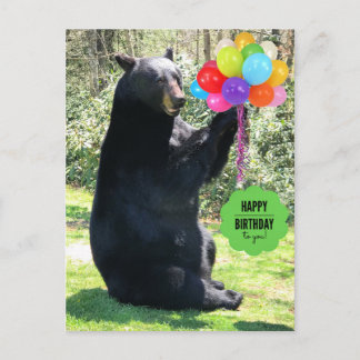 Black Bear - "Cubby - Happy Birthday!" Postcard
