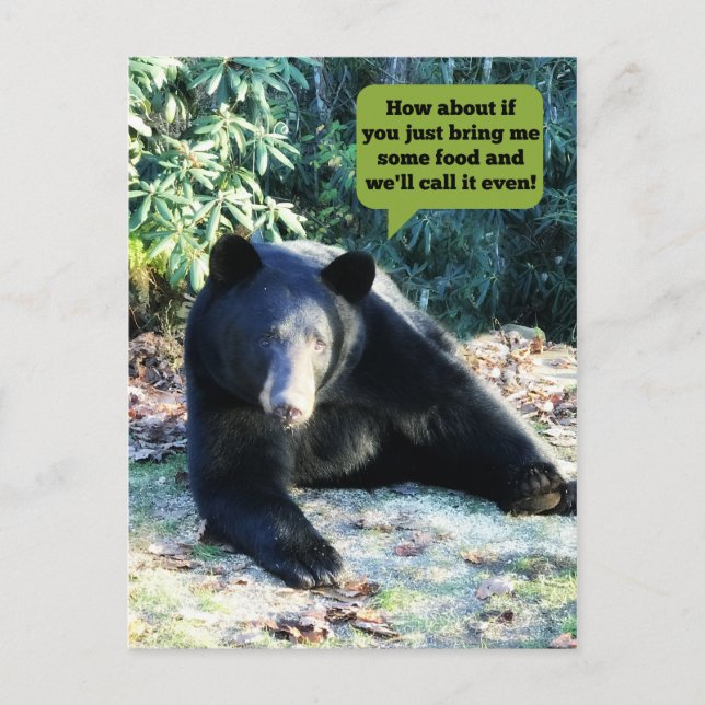 Black Bear - "Cubby - Let's Make a Deal" Postcard (Front)