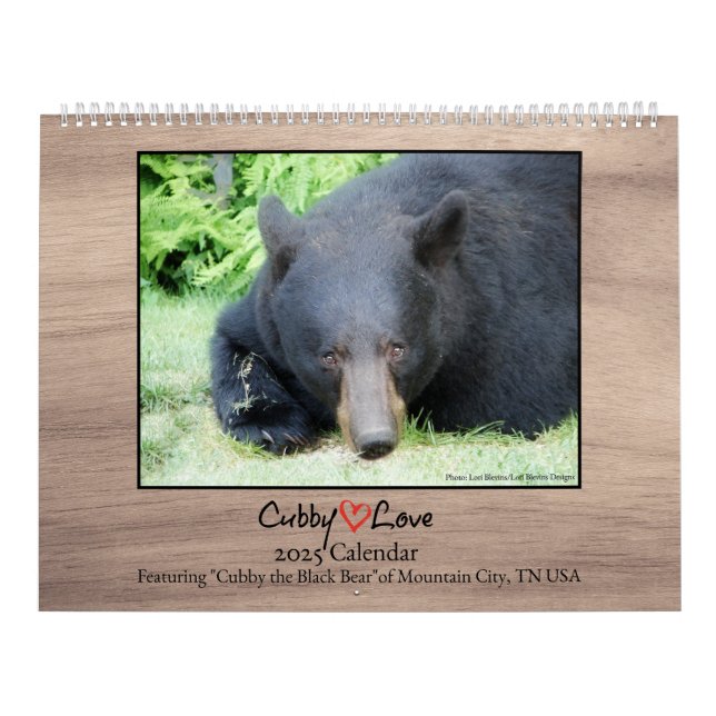 Black Bear - Cubby Love 2025 Calendar (Cover)