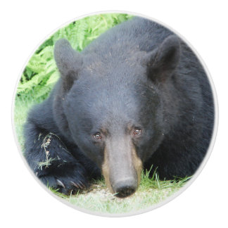 Black Bear - "Cubby Love" Ceramic Knob