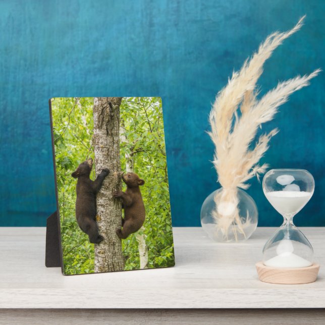 Black Bear Cubs Climbing Tree Plaque (Side)