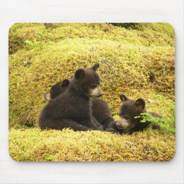 Black Bear Cubs Mouse Pad (Front)