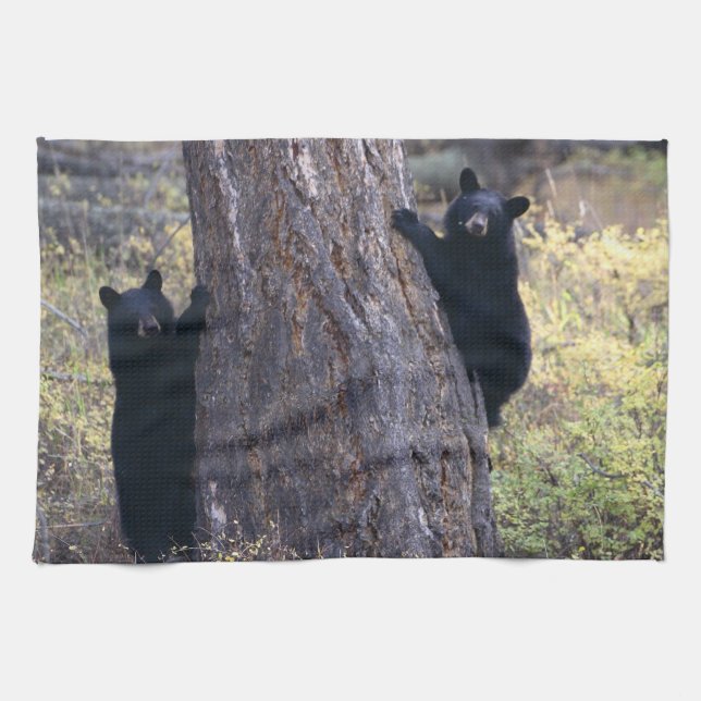 black bear cubs tea towel (Horizontal)